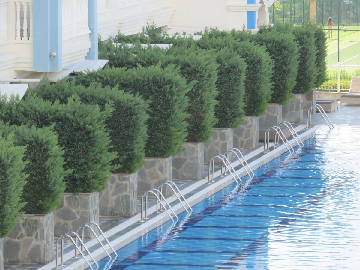 imagini hotel Rubi Platinum Resort